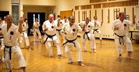 Karate MN in May-51.jpg
